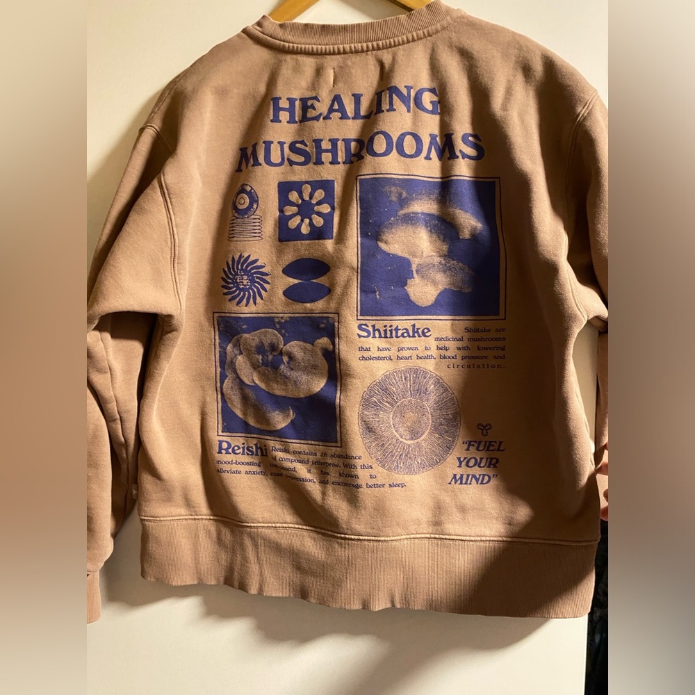 💎TNA Tan Crewneck Sweater - Picture 4 of 4